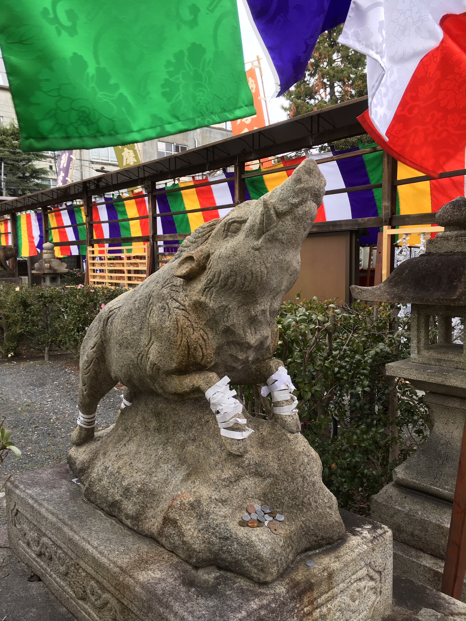 ツボウさんのプロフィール画像