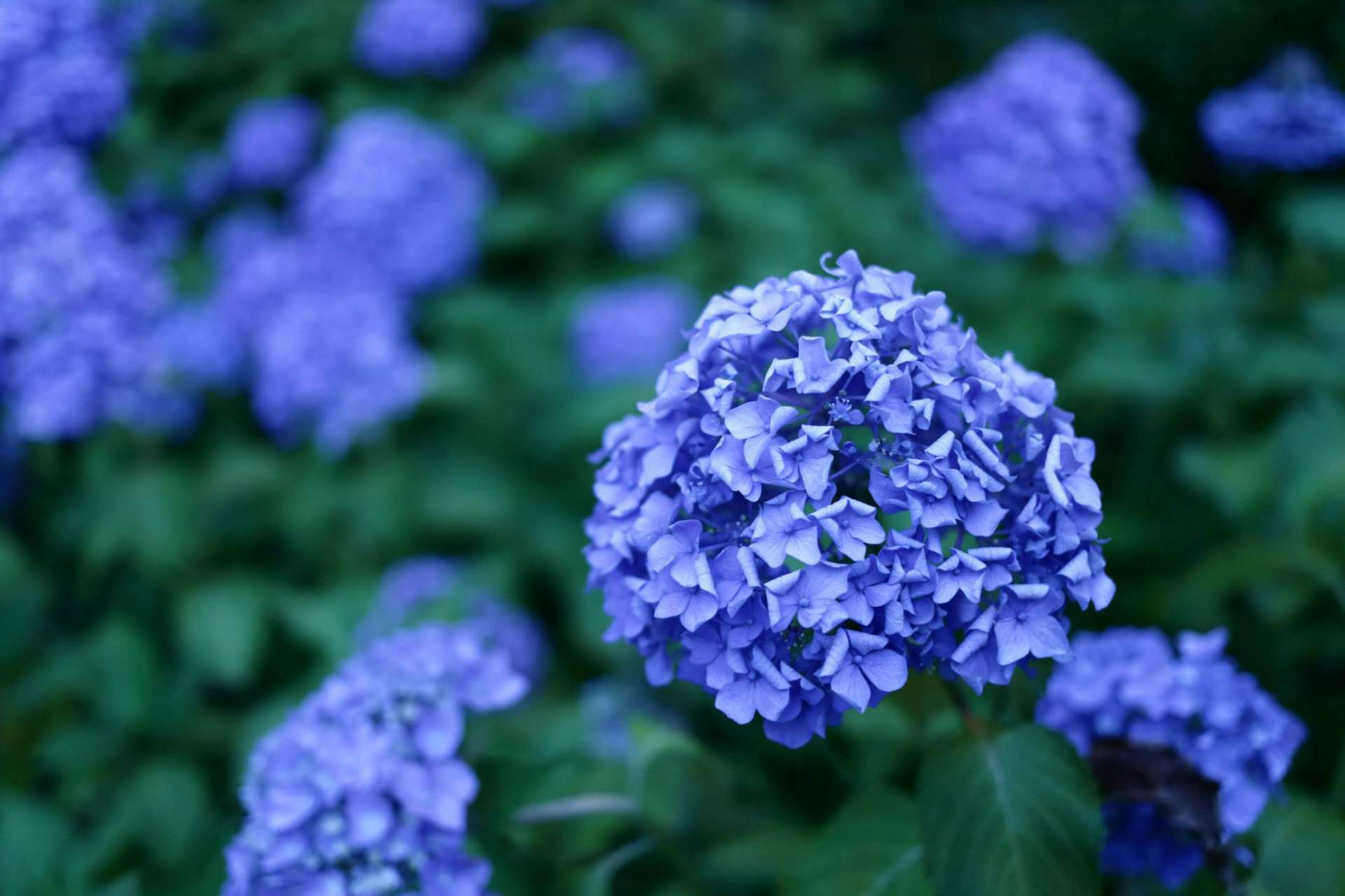 風月さんのプロフィール画像