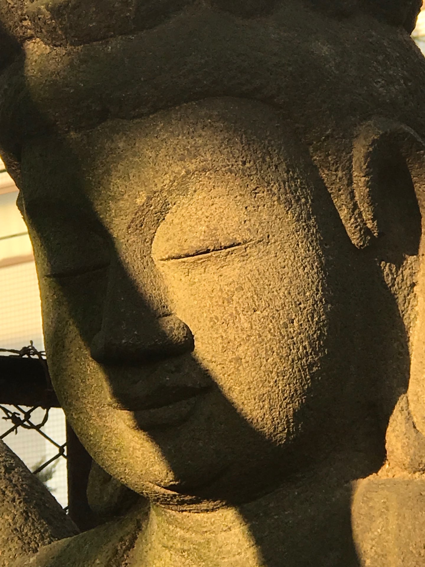 吉祥寺 リツさんのプロフィール画像