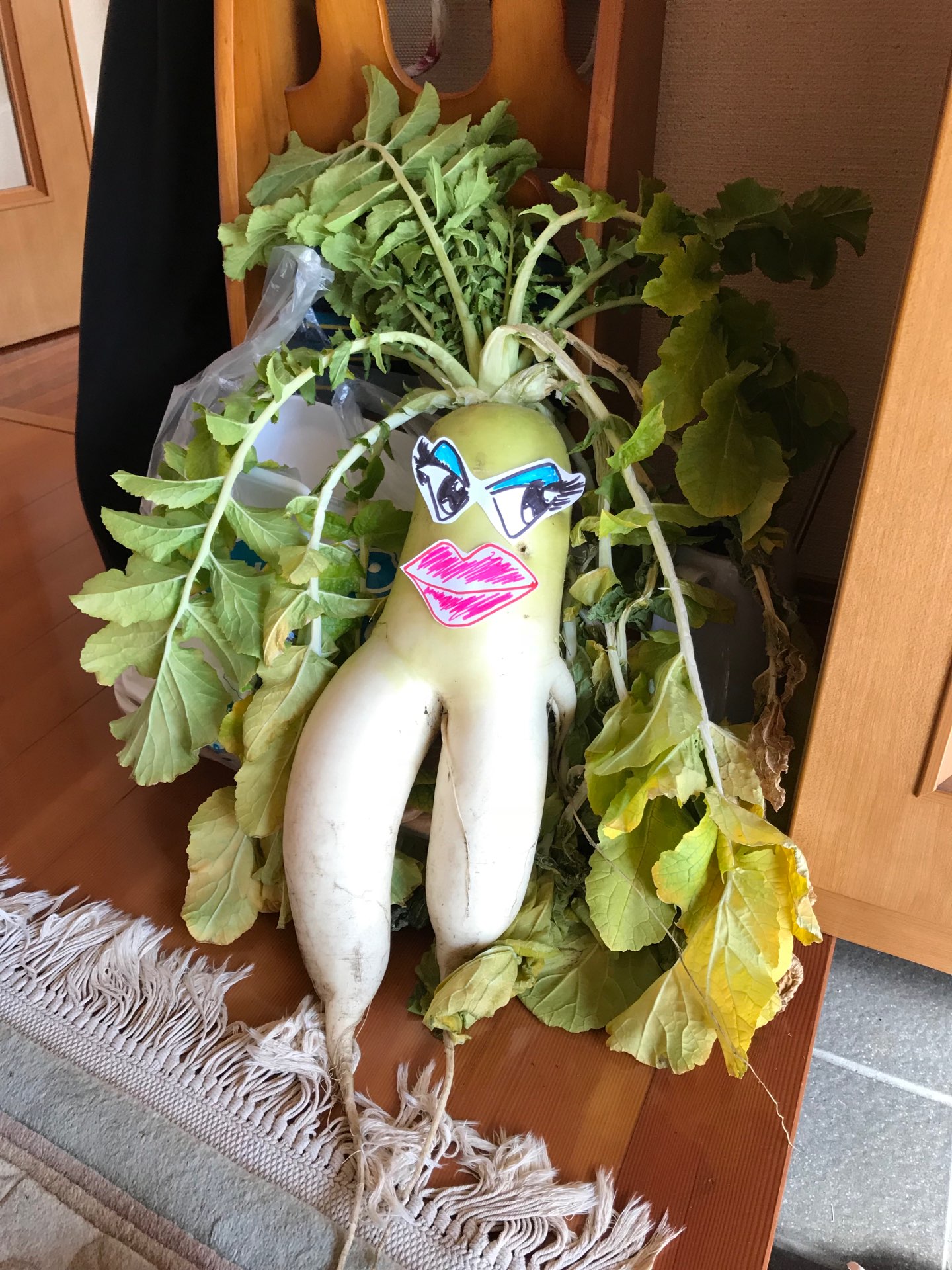 JTQさんのプロフィール画像