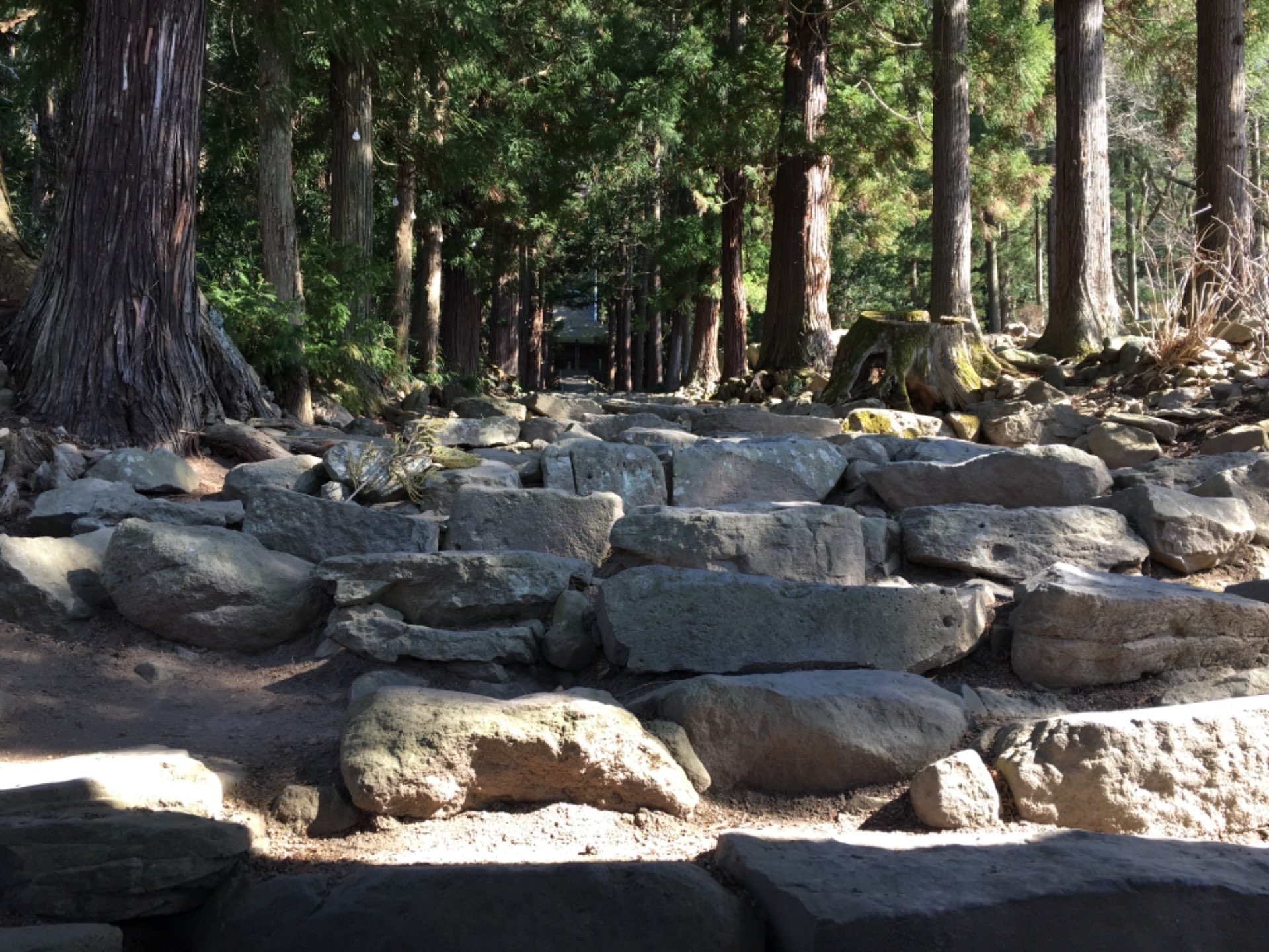 Bossさんのプロフィール画像