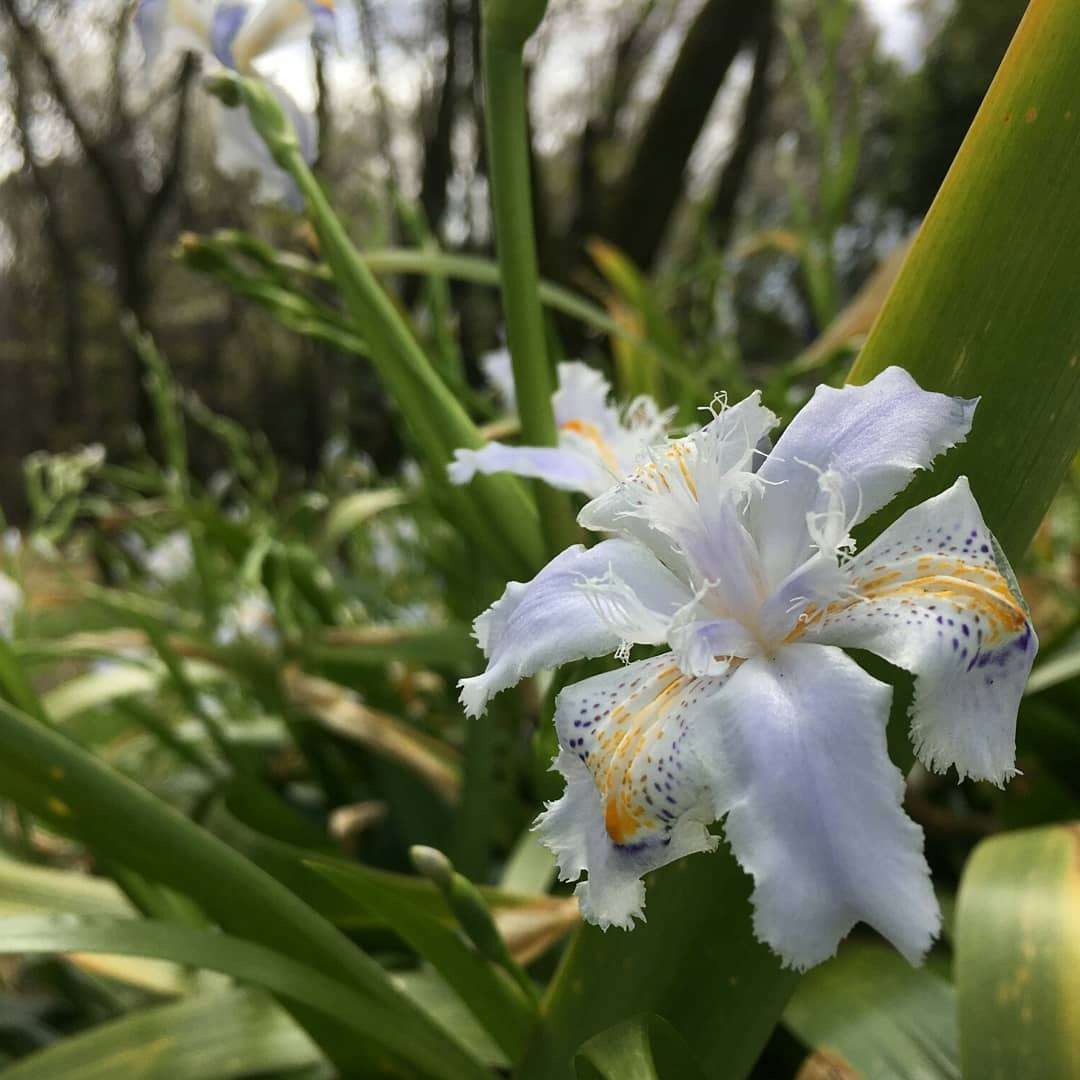 Tetsuro Jimboさんのプロフィール画像