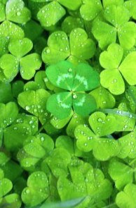 ミンさんのプロフィール画像