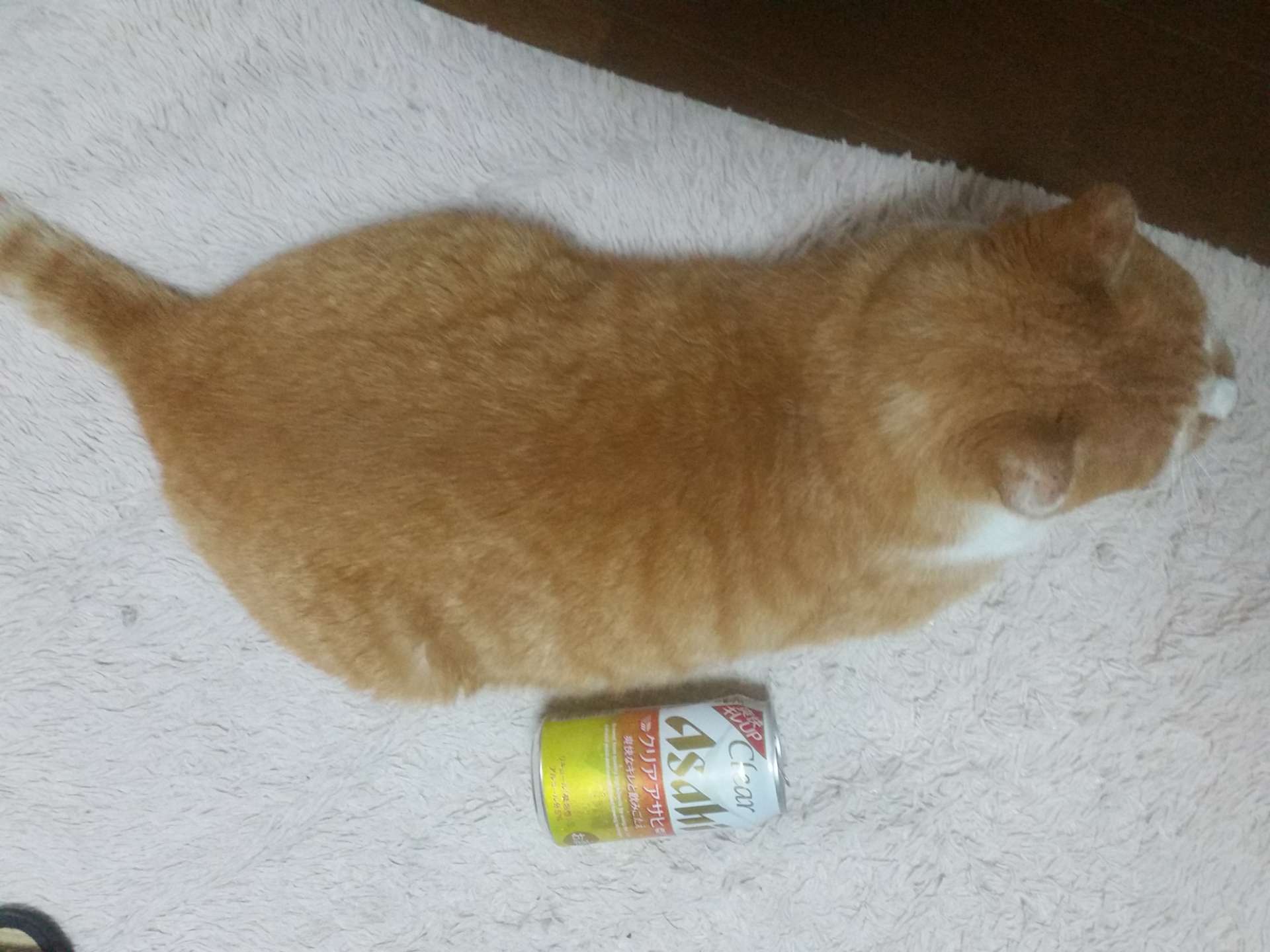 お福さんのプロフィール画像