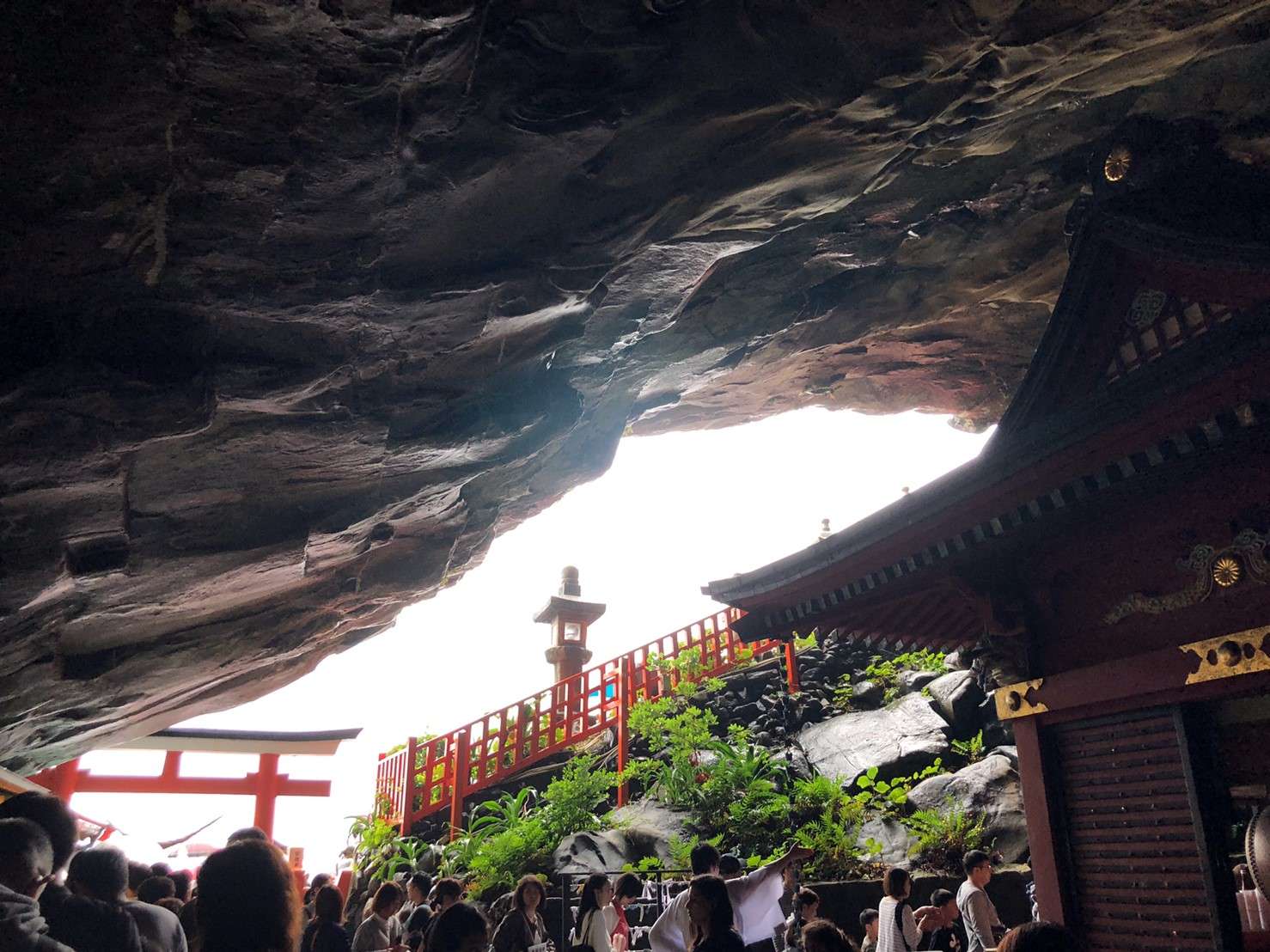 かえでさんのプロフィール画像