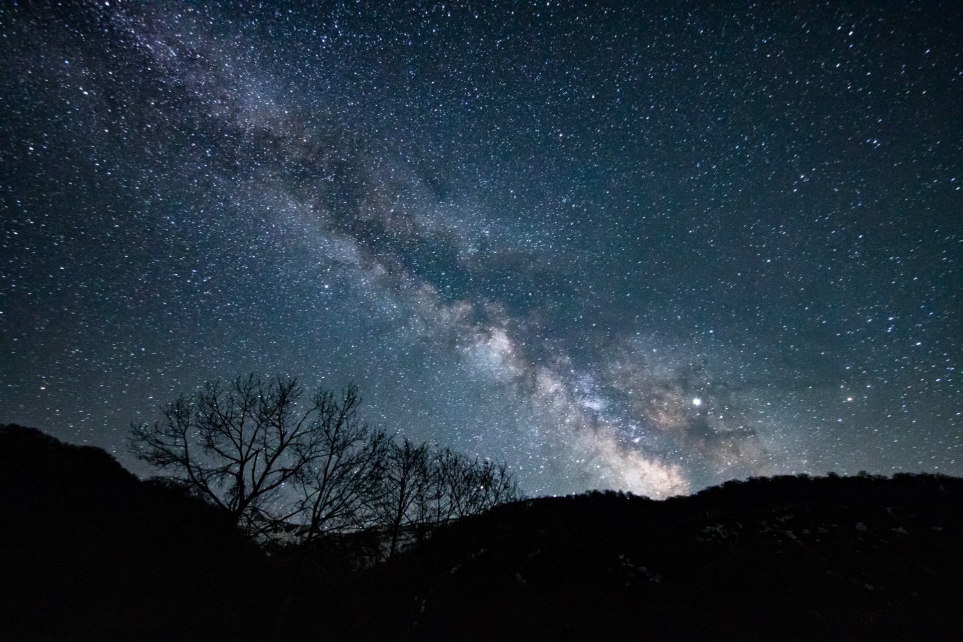 Spookyさんのプロフィール画像