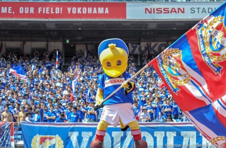 えふまりのすさんのプロフィール画像