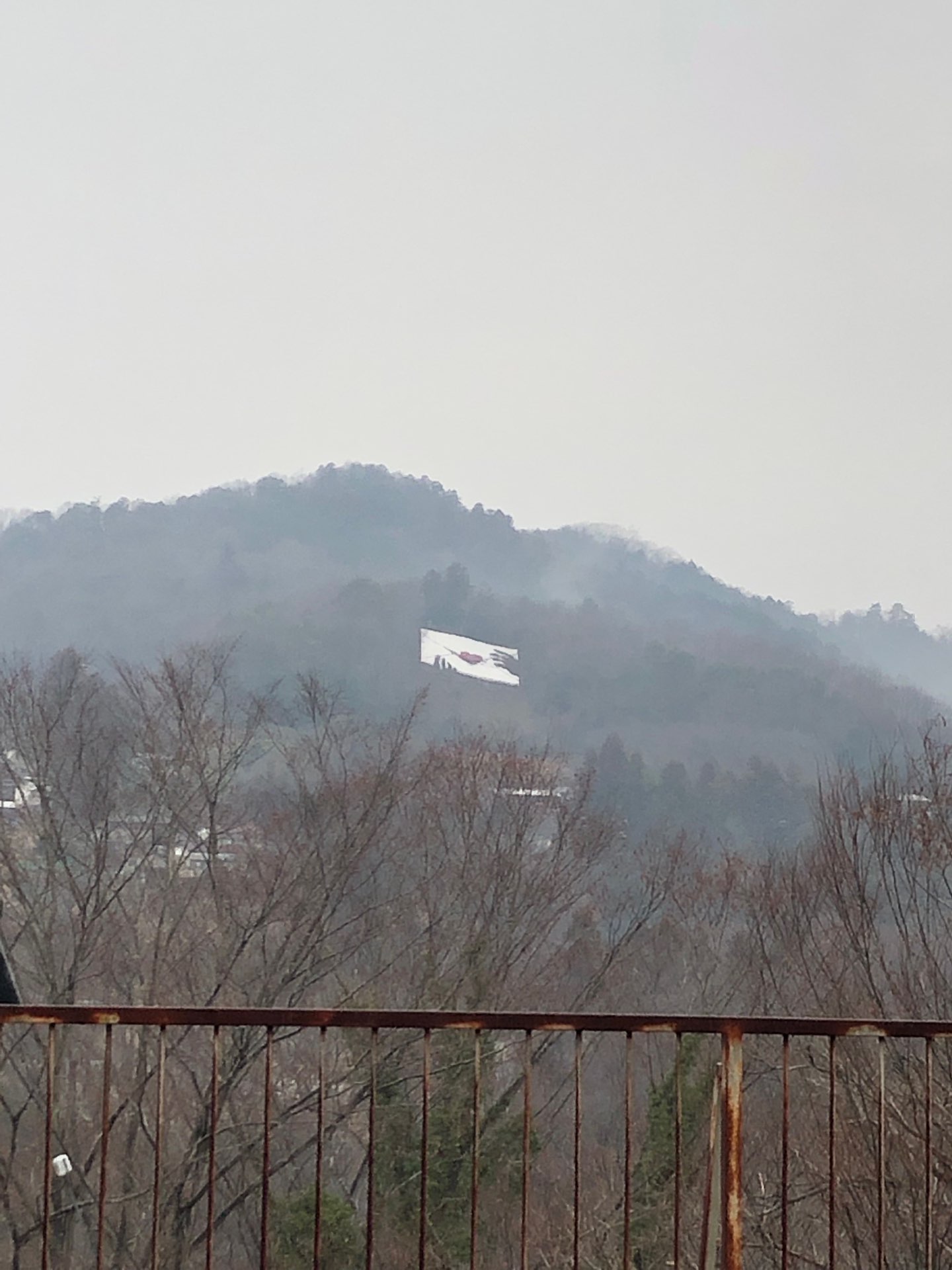 ひこさんのプロフィール画像