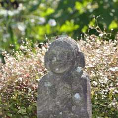 髙橋秀城さんのプロフィール画像