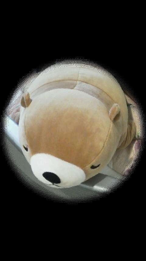 yokocafeさんのプロフィール画像