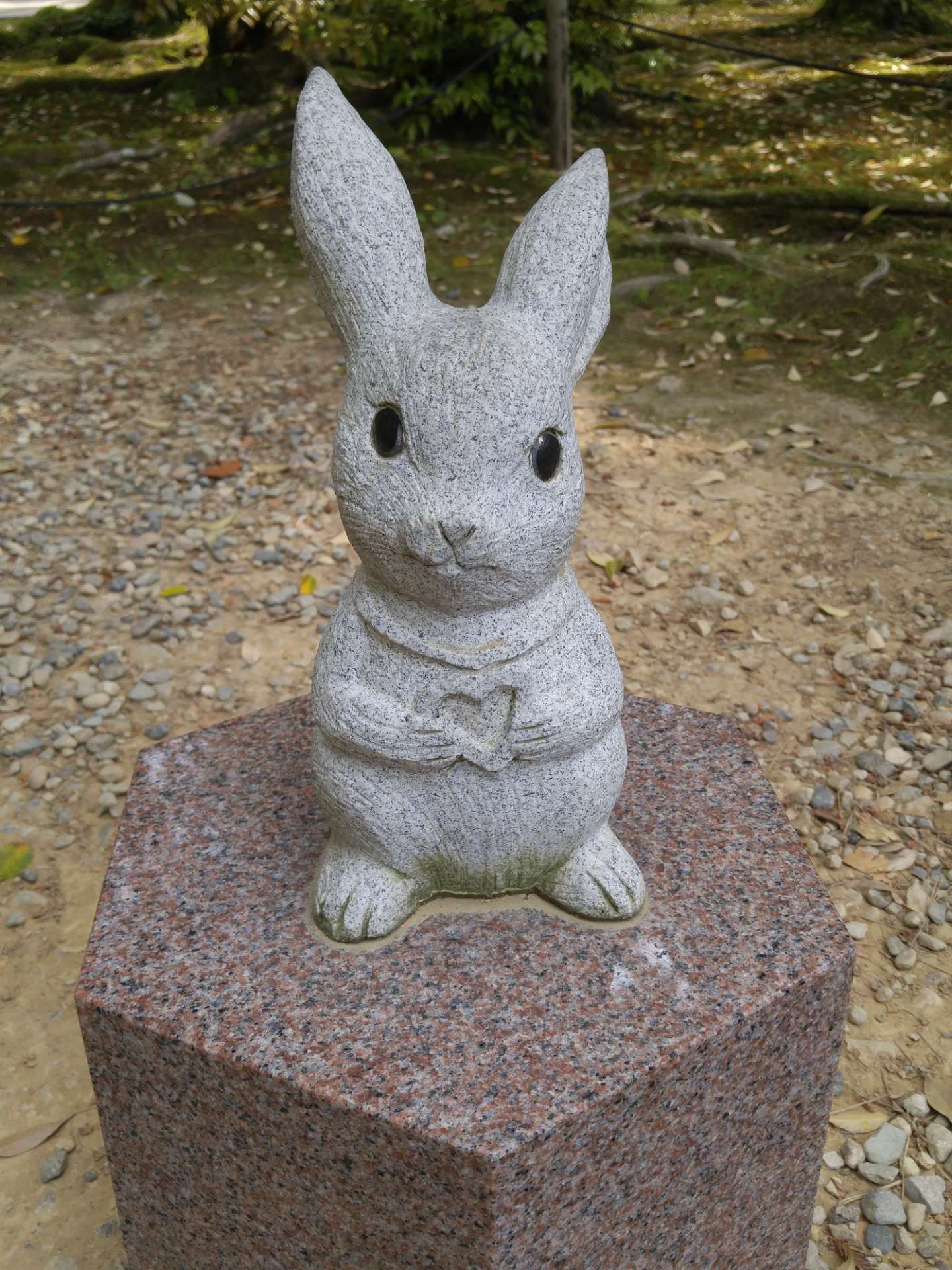 アキさんのプロフィール画像