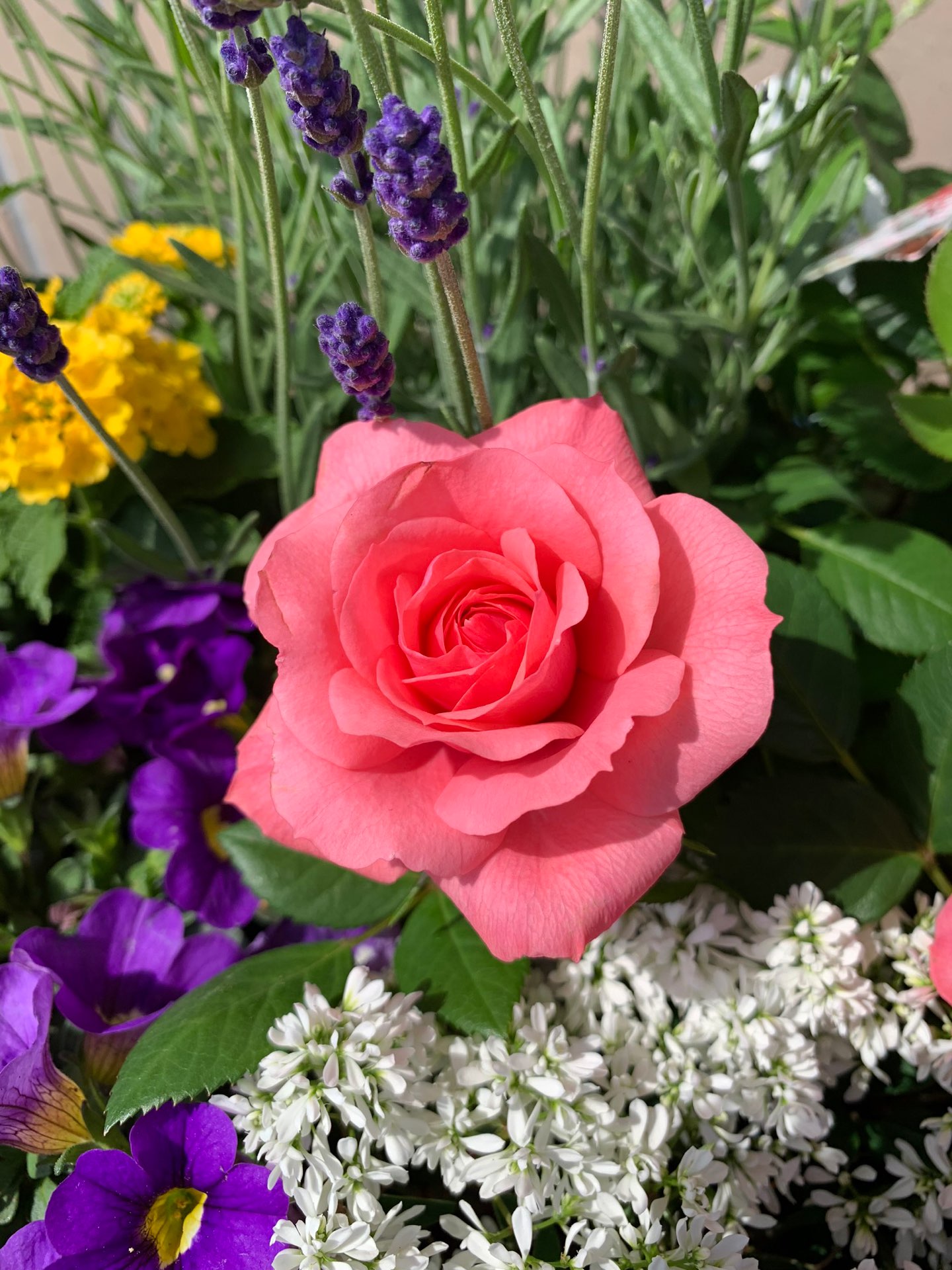 emiさんのプロフィール画像