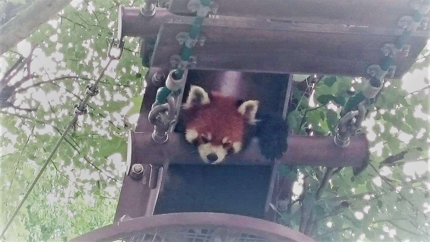 とんびさんのプロフィール画像