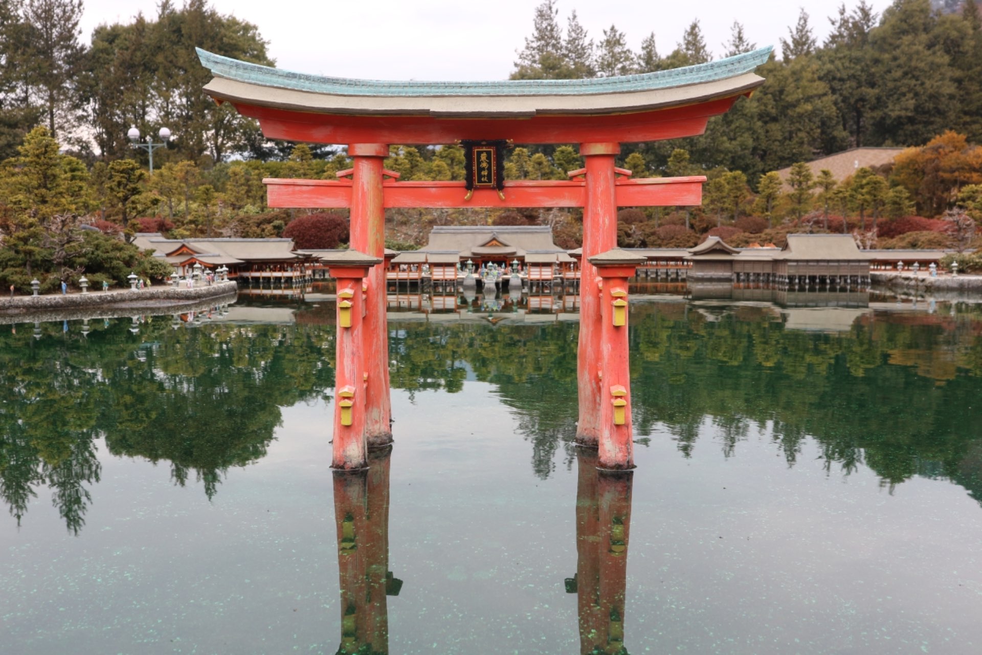 ともみんさんのプロフィール画像