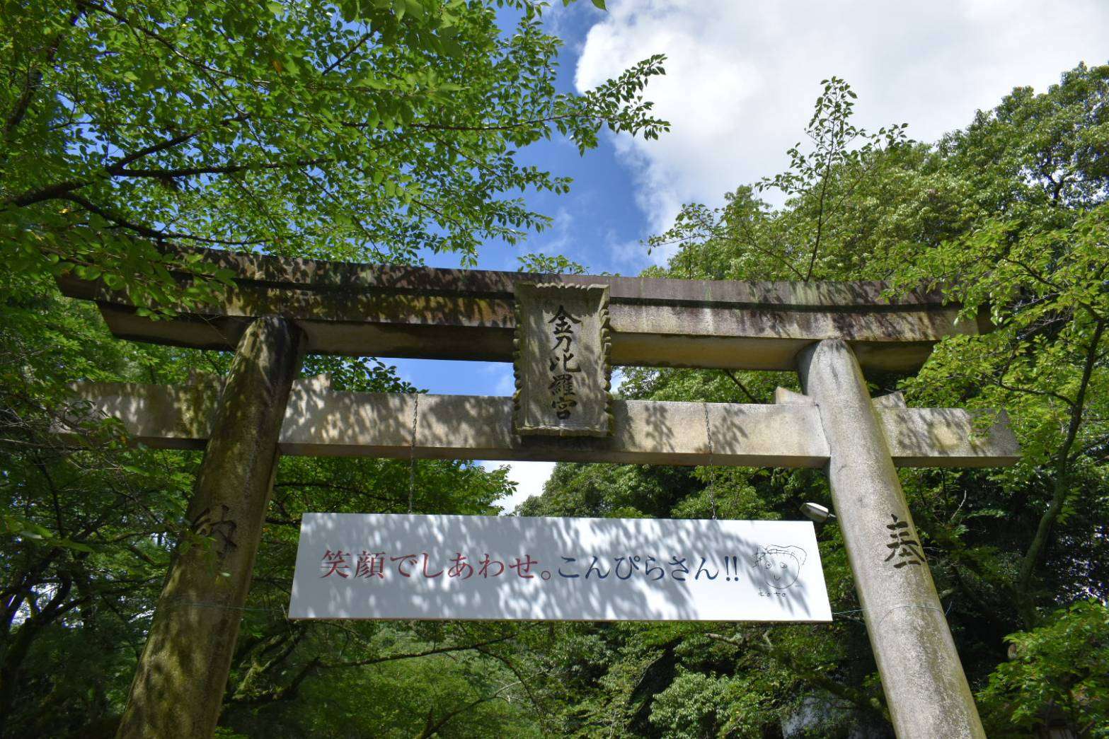 ハナさんのプロフィール画像