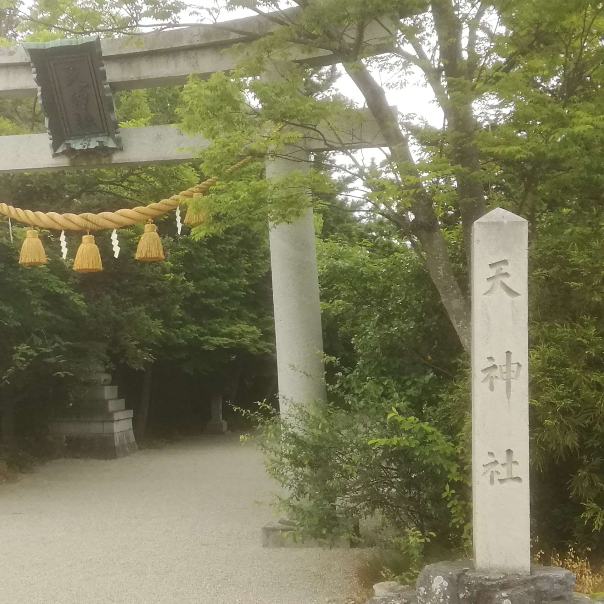 近江の天神さんのプロフィール画像