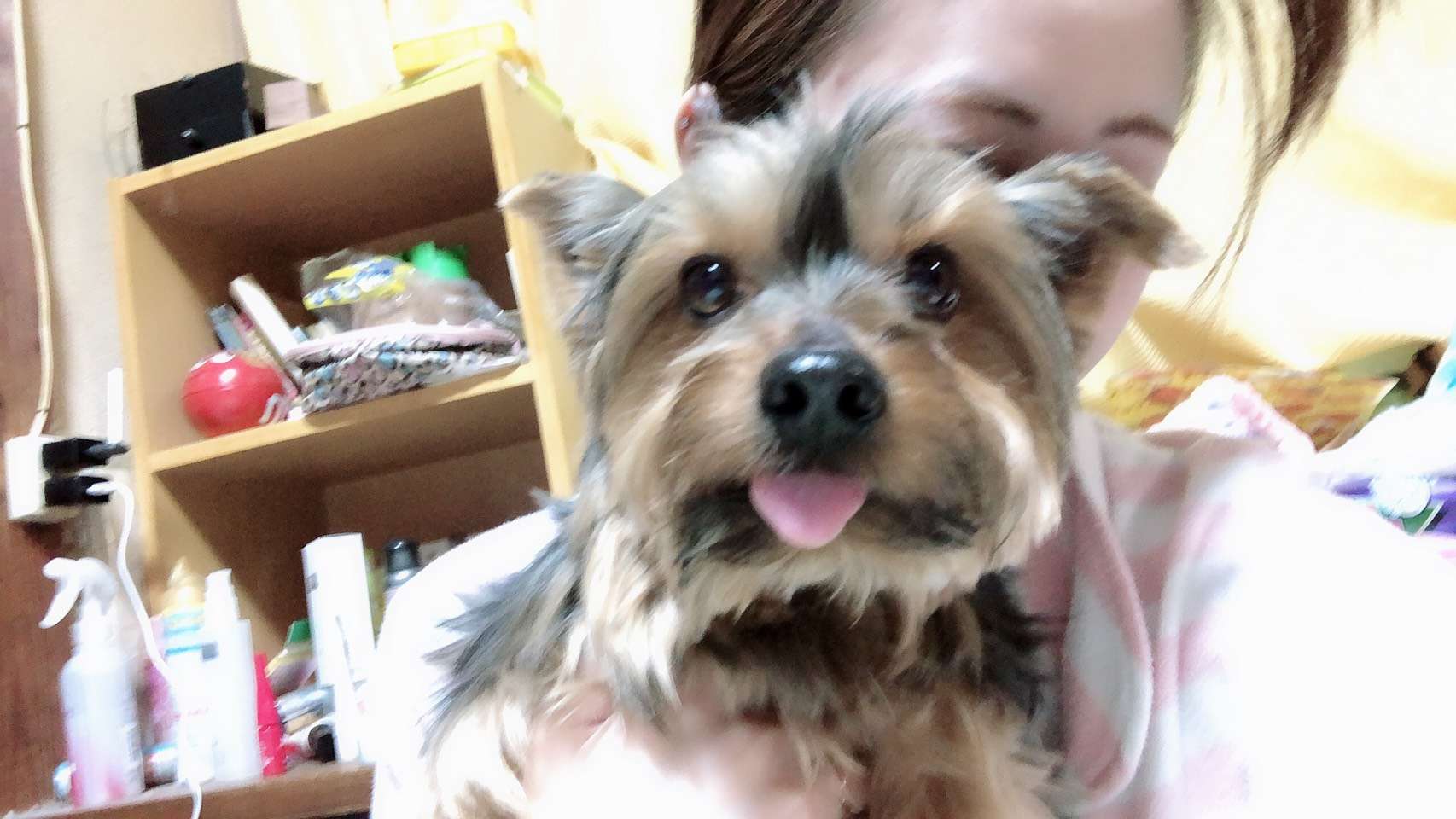 智さんのプロフィール画像