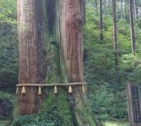 zilchさんのプロフィール画像