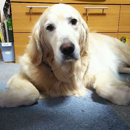 エリンさんのプロフィール画像