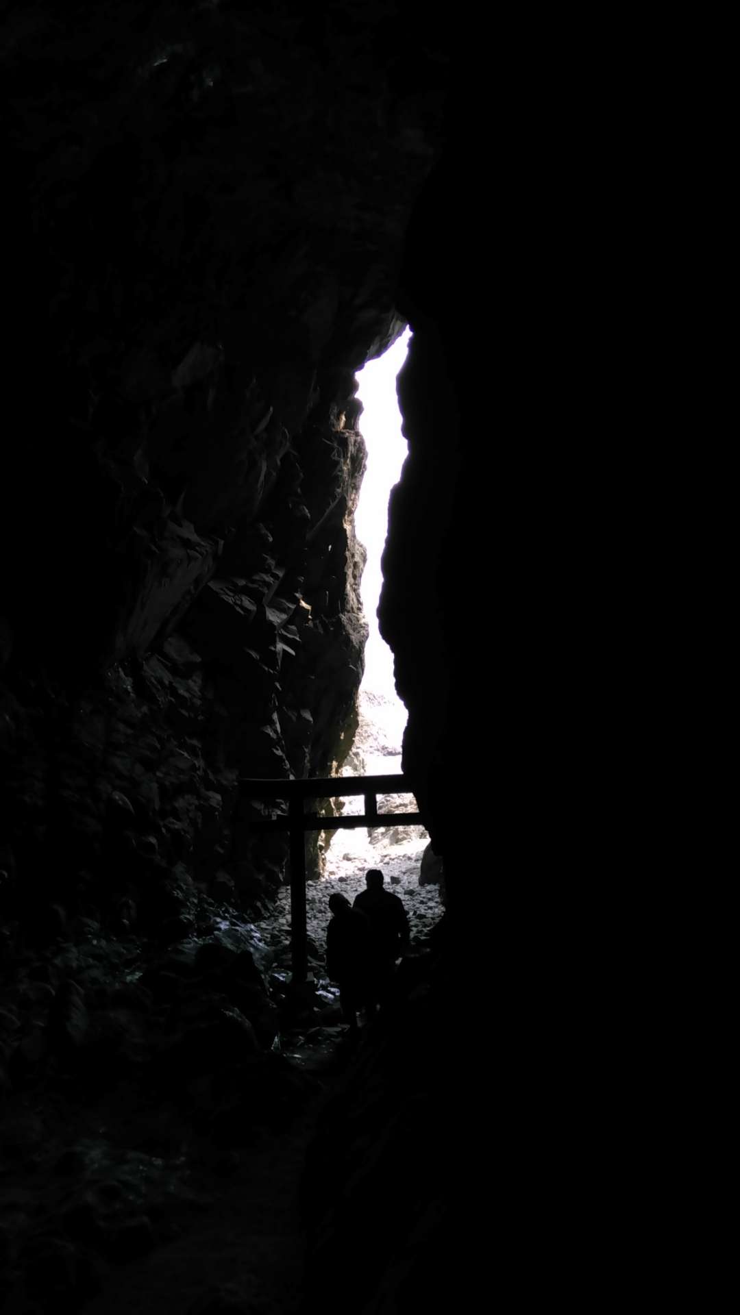 たにぃさんのプロフィール画像