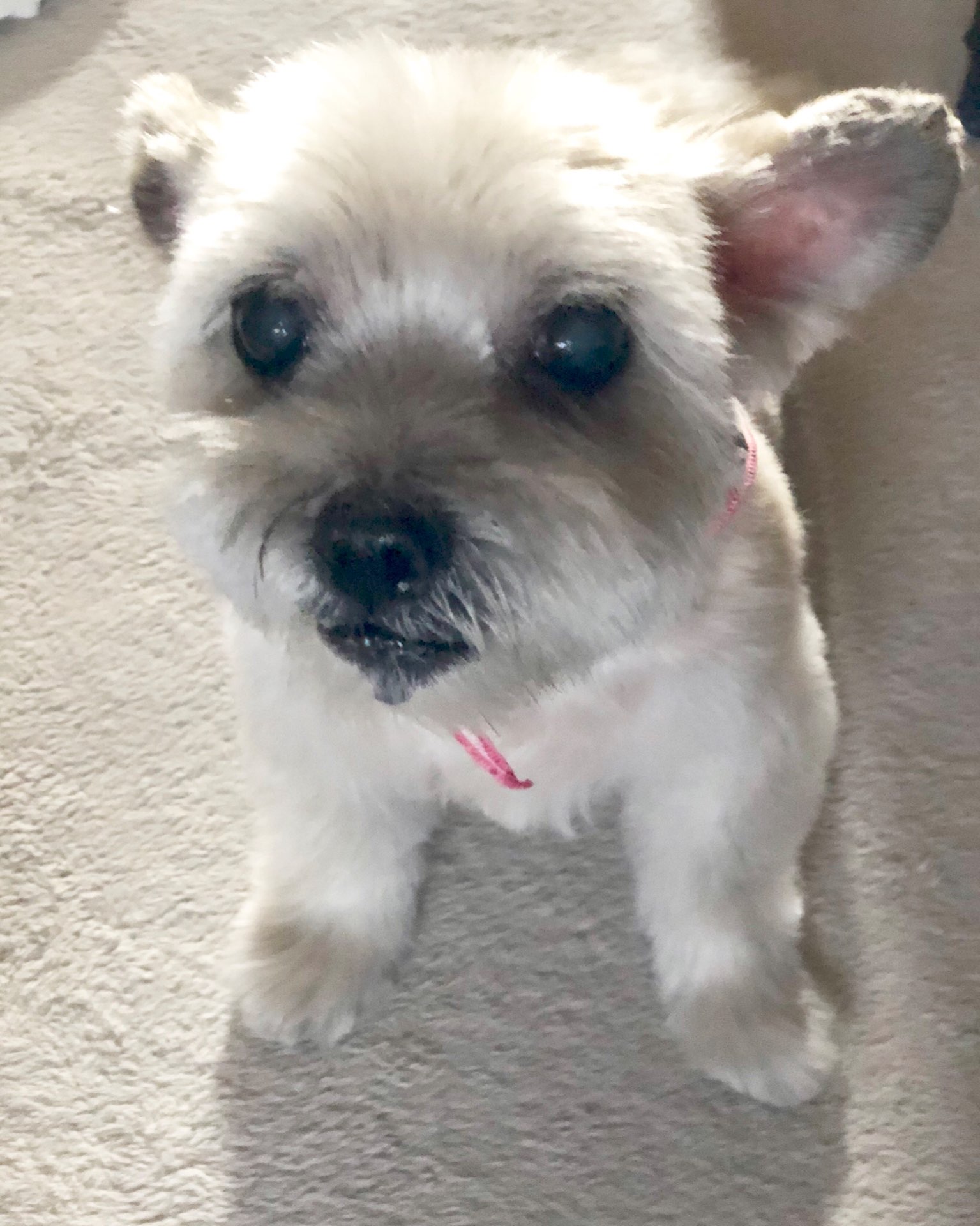 桜子さんのプロフィール画像