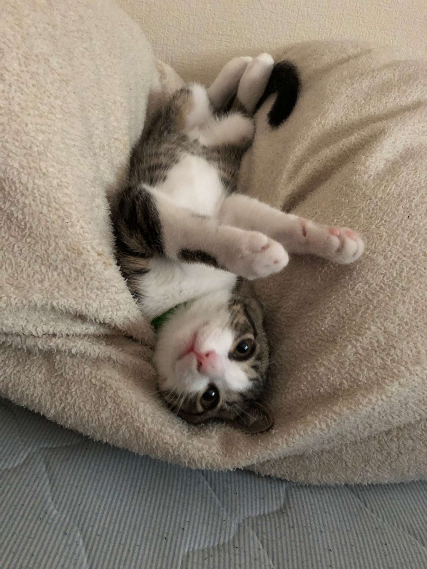 みーみさんのプロフィール画像