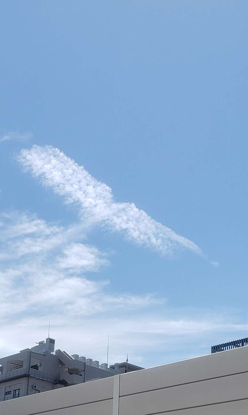 音羽さんのプロフィール画像