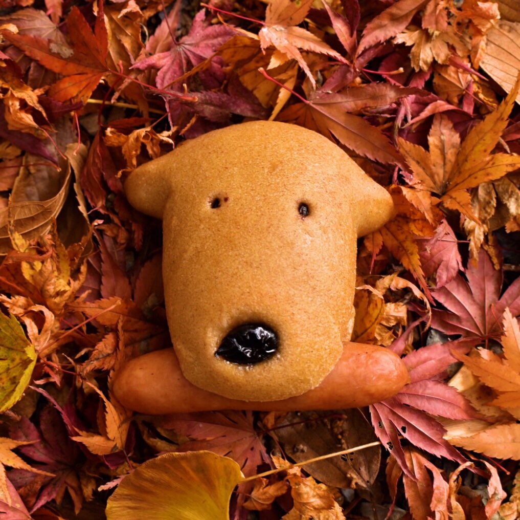 菊丸さんのプロフィール画像