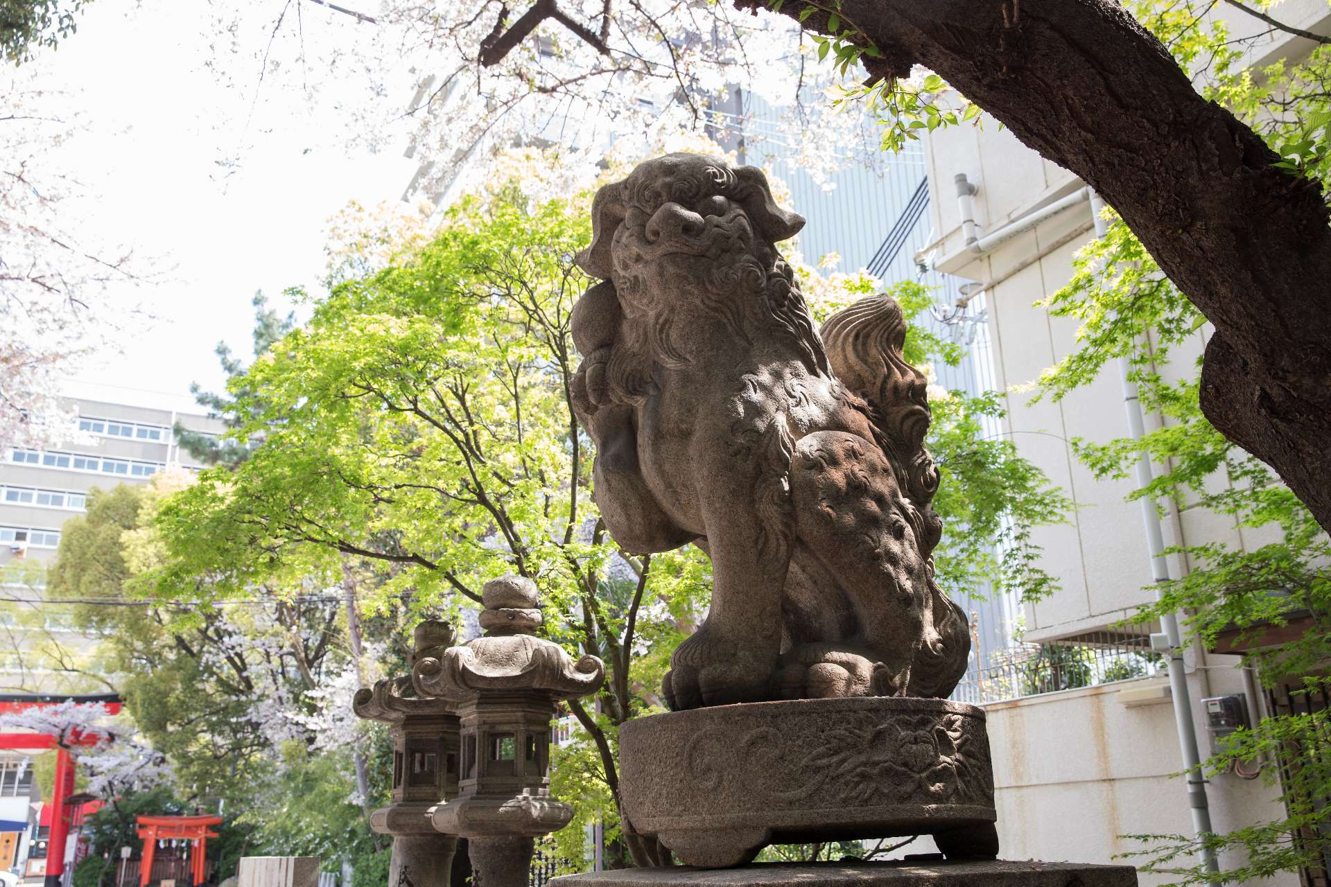開口神社さんのプロフィール画像