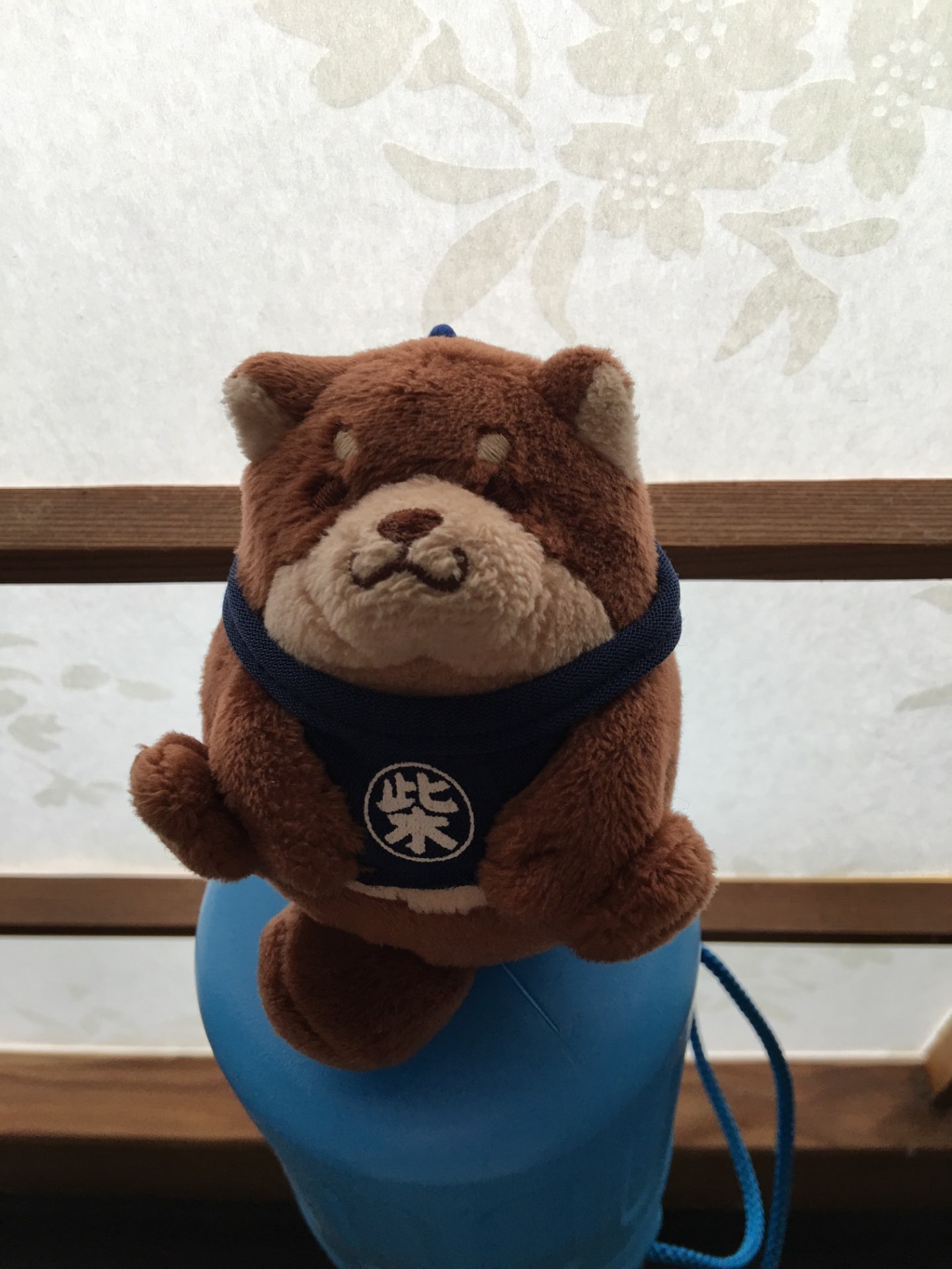 たぬ吉さんのプロフィール画像