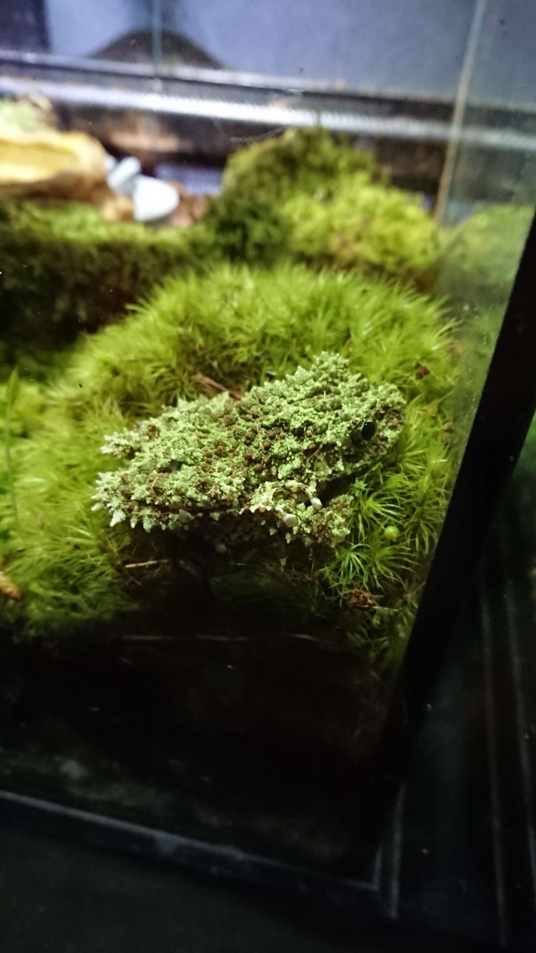 ははちゃんさんのプロフィール画像