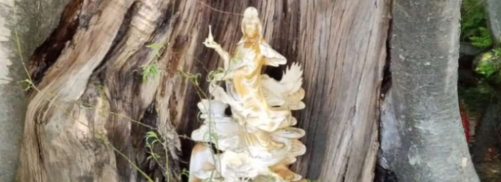 美雲さんのプロフィール画像