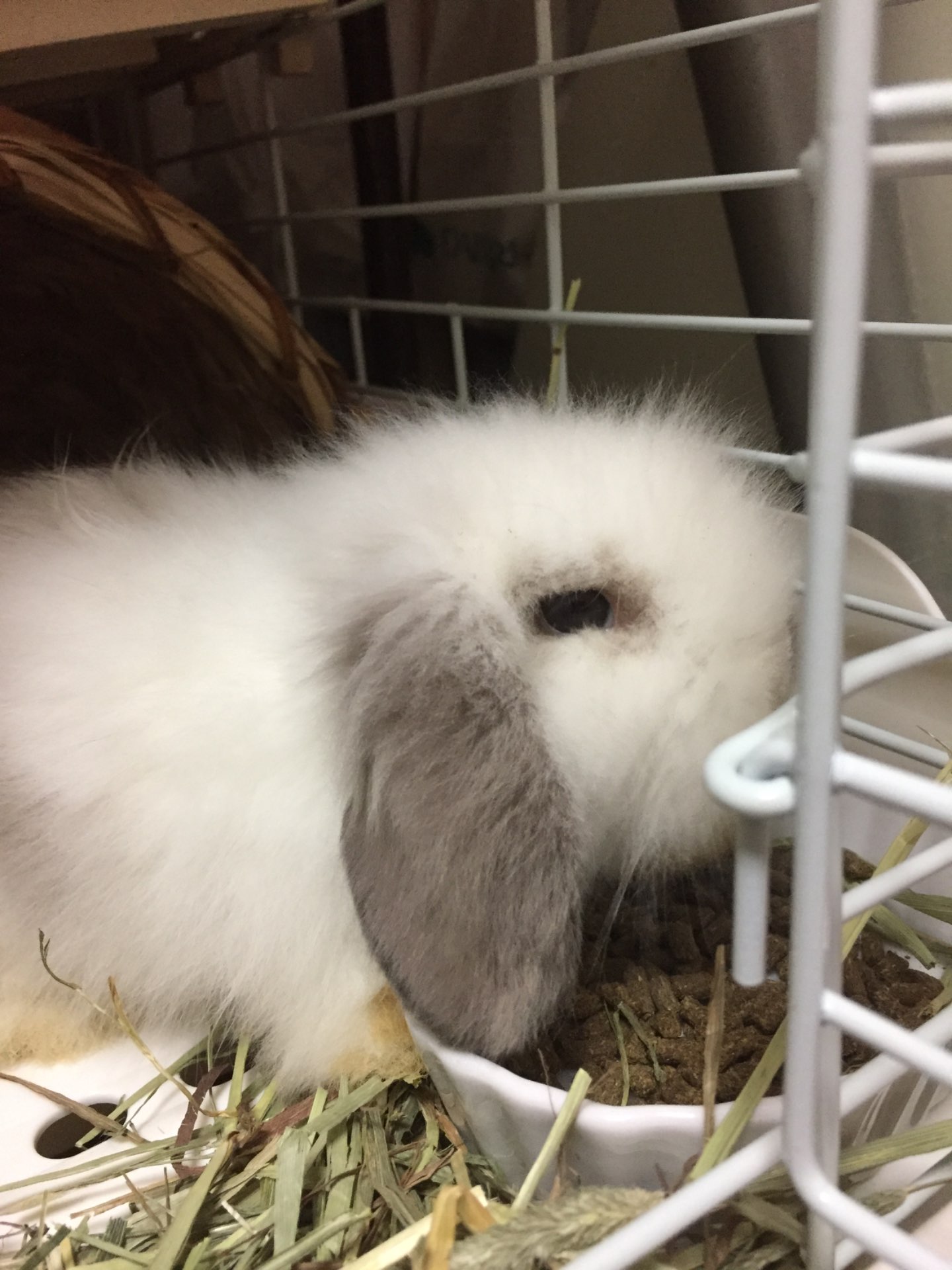 マキメロさんのプロフィール画像