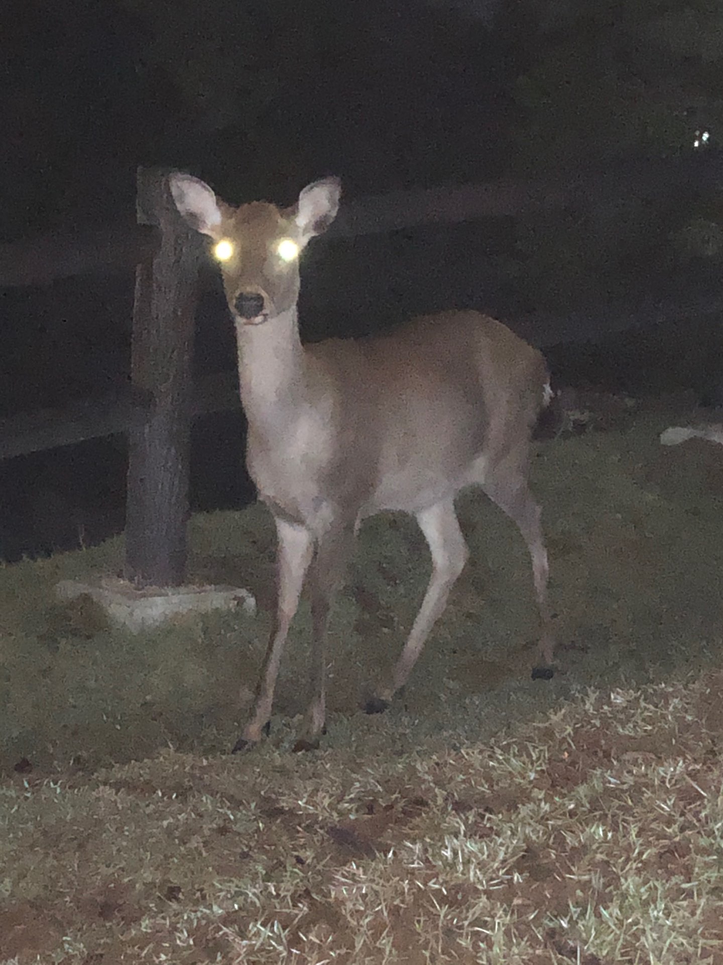 nmz-whさんのプロフィール画像