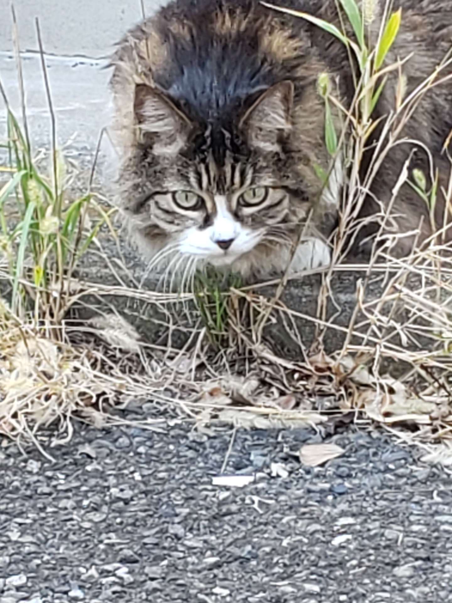 みーにゃさんのプロフィール画像