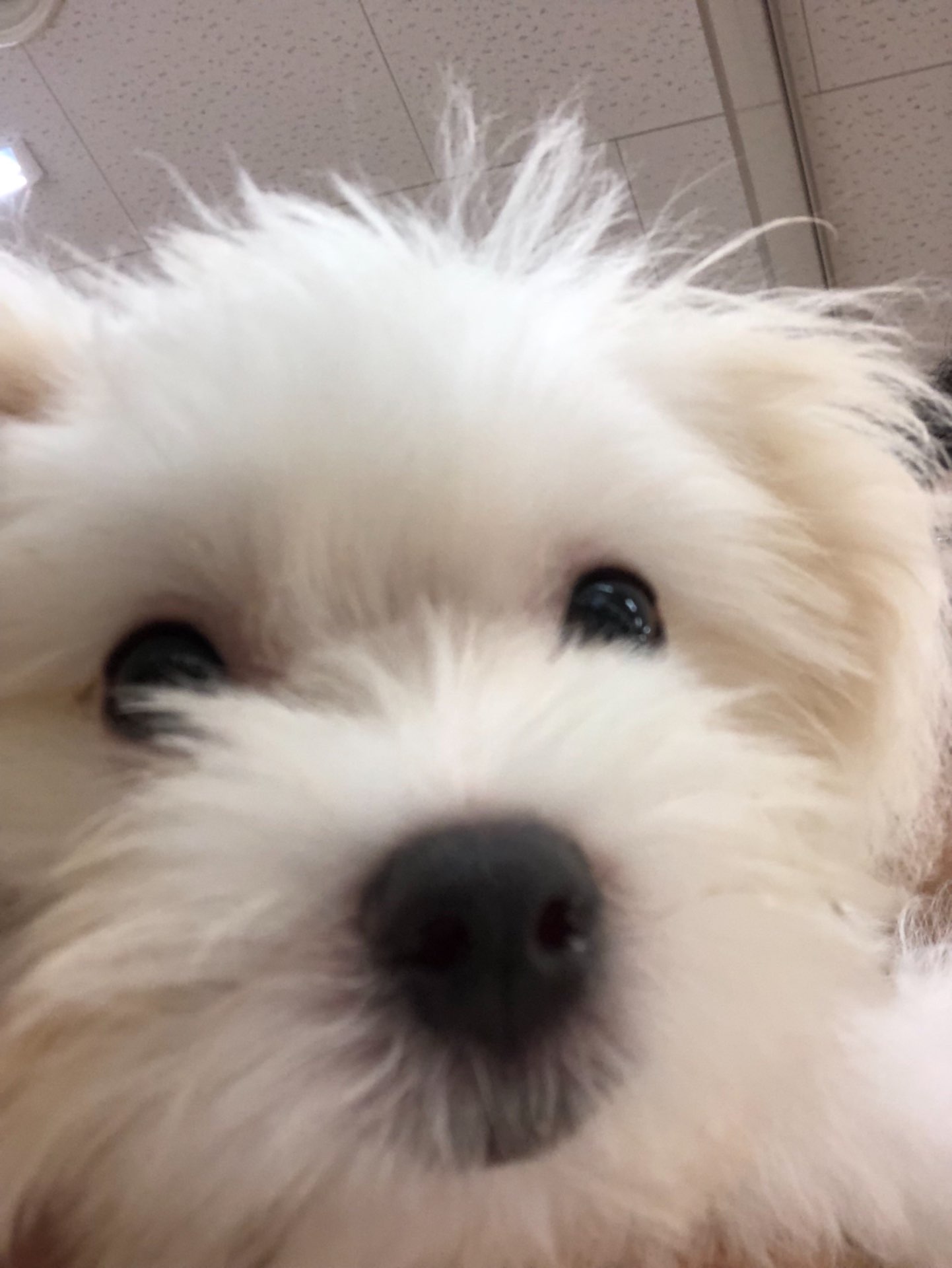 ムゥさんのプロフィール画像