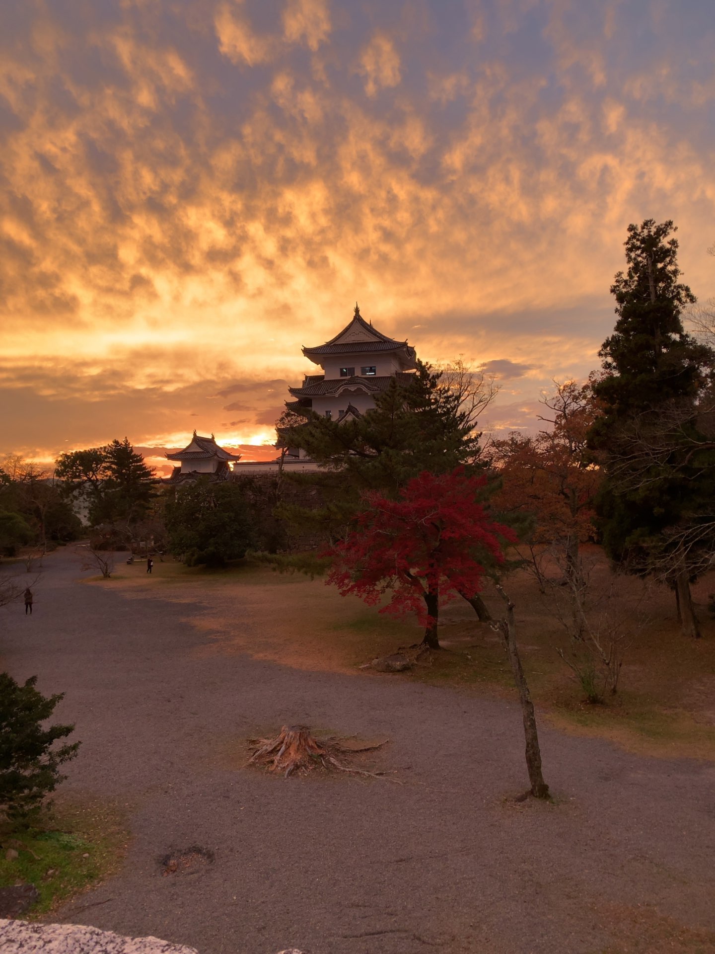 ouramu23 さんのプロフィール画像