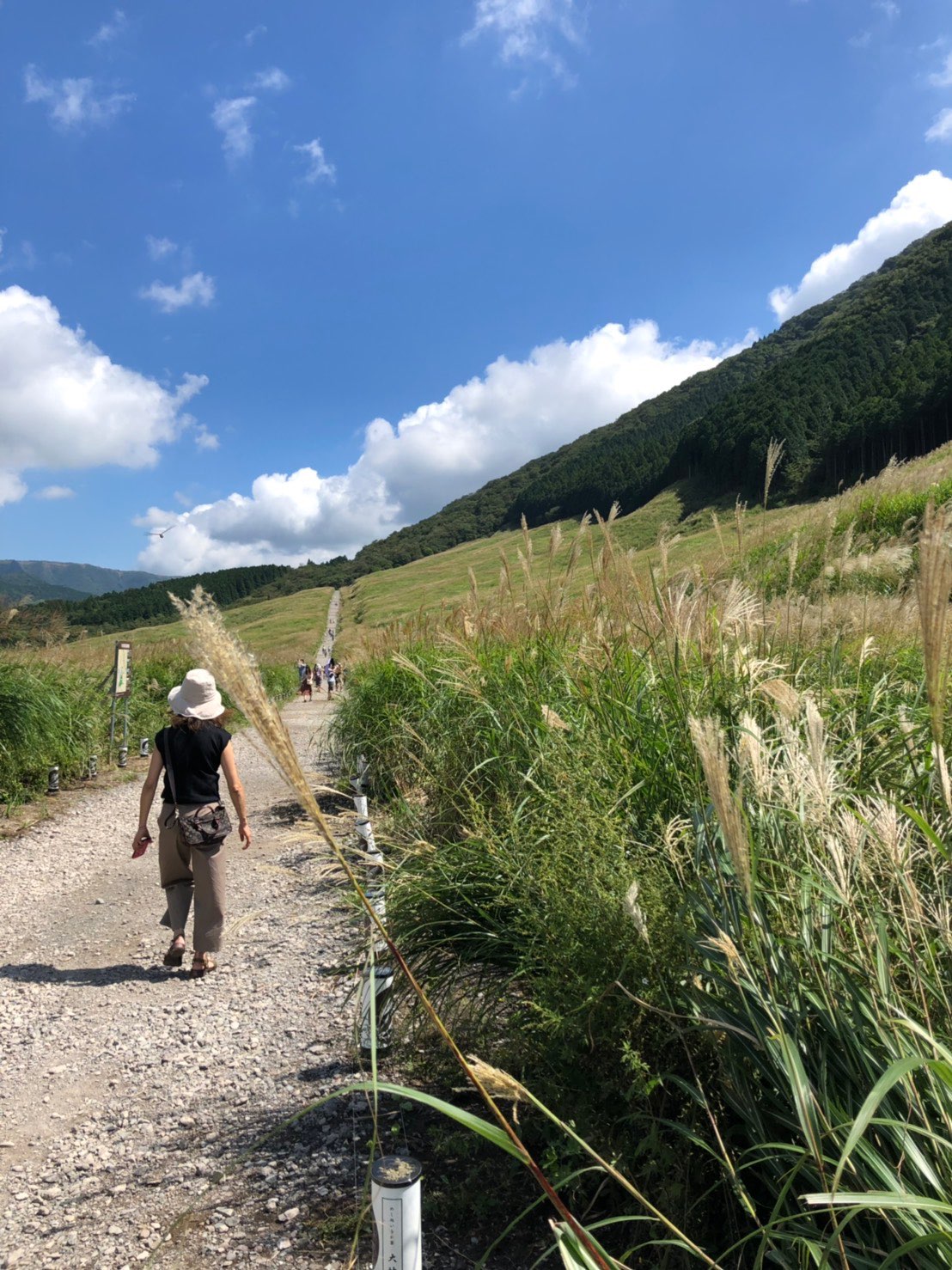 ナルコちゃんさんのプロフィール画像