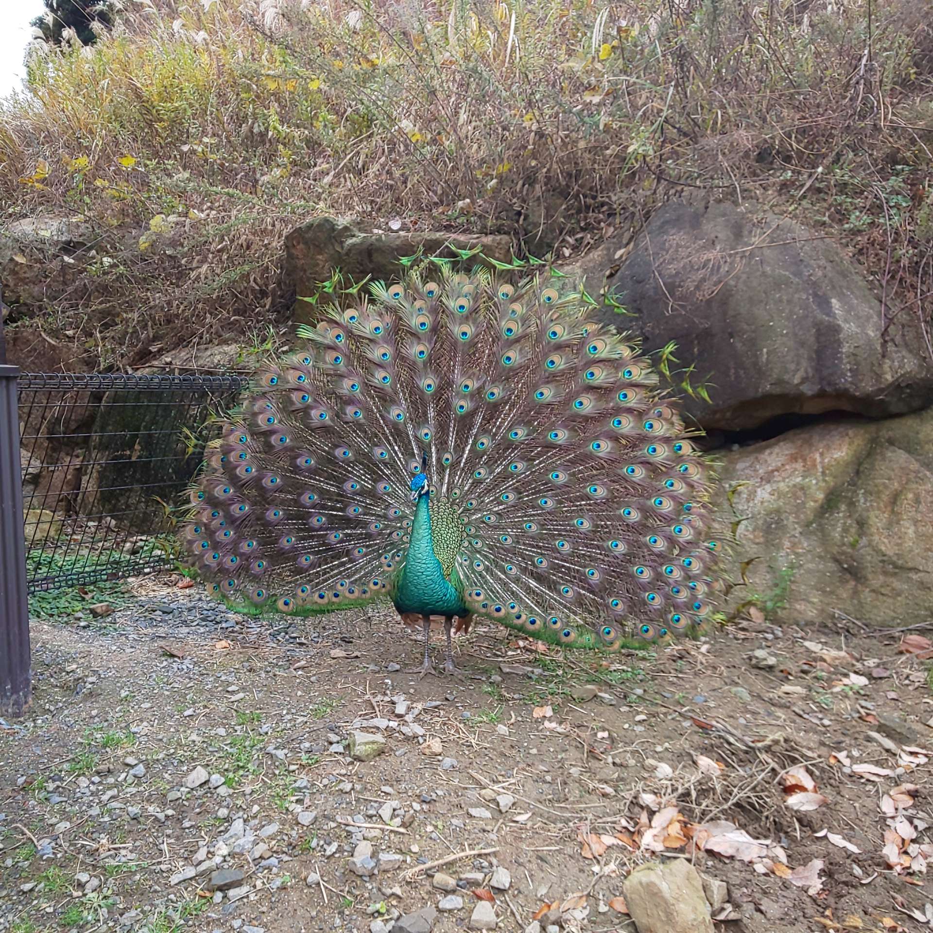 くまじろうさんのプロフィール画像