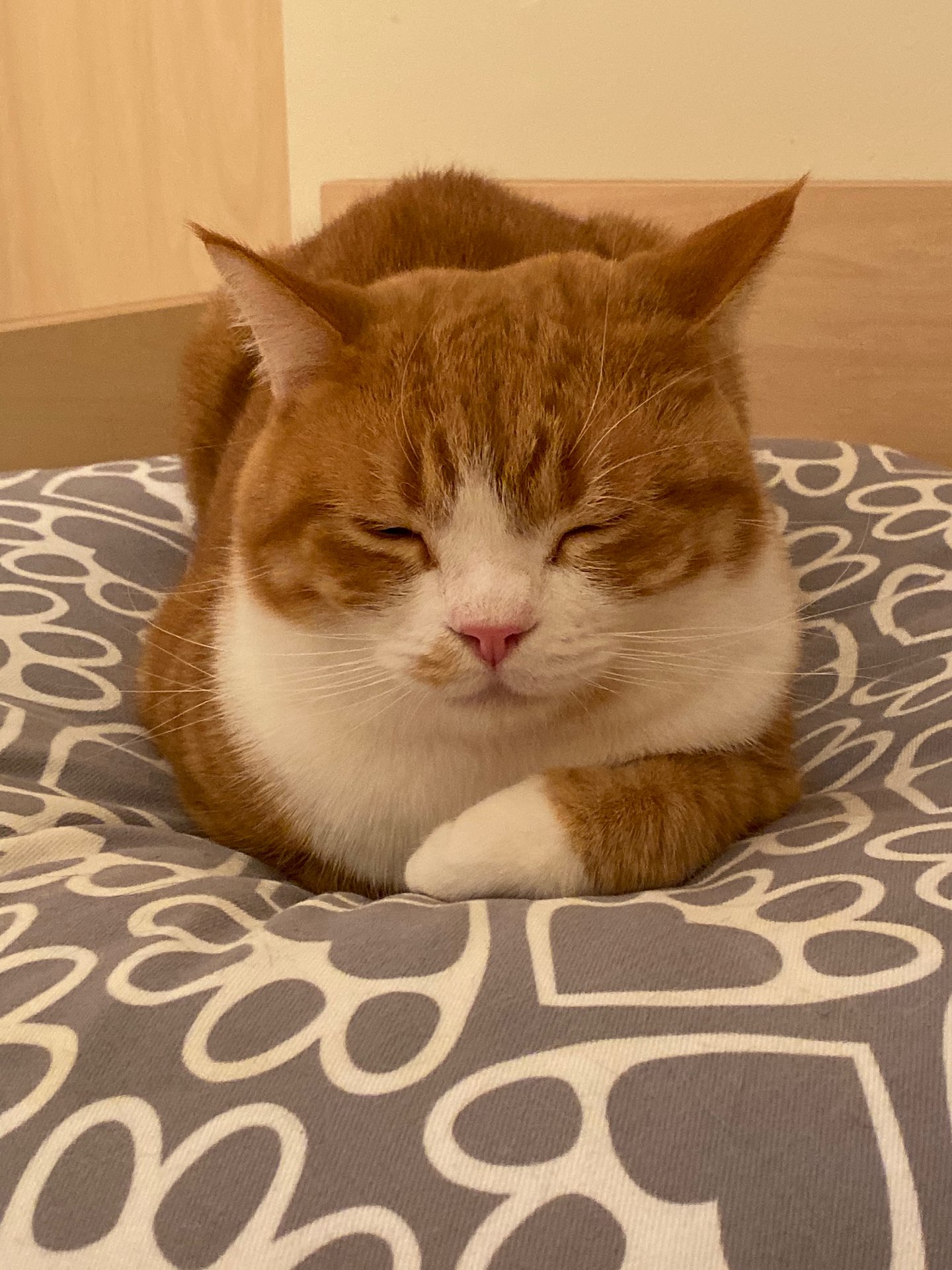 Muさんのプロフィール画像