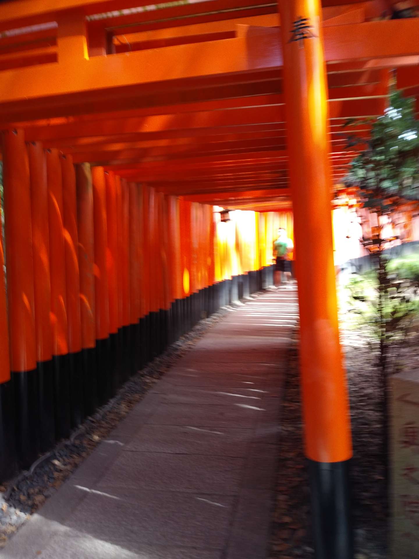 小蝶さんのプロフィール画像