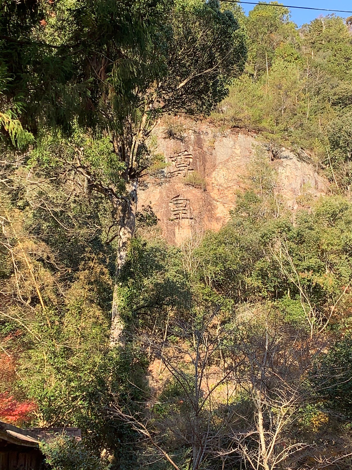 ゆずさんのプロフィール画像