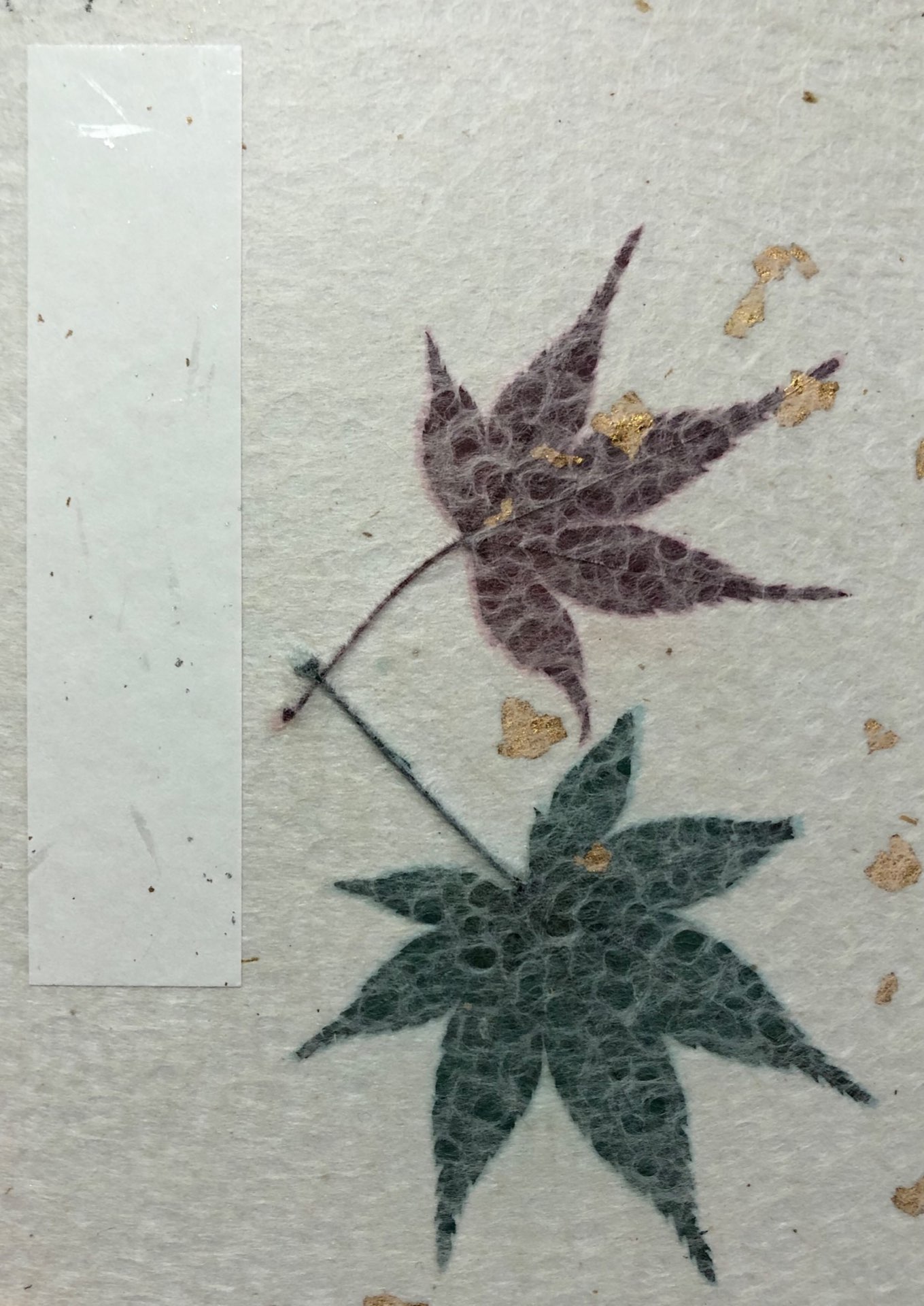 のりゆみさんのプロフィール画像