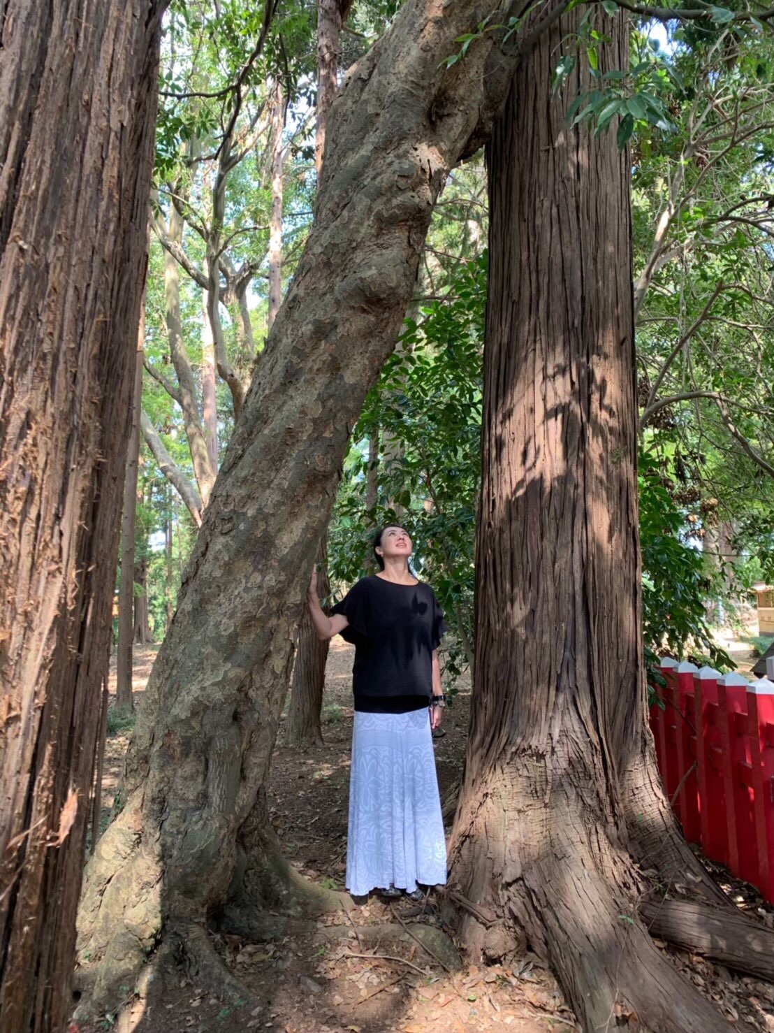 ハウさんのプロフィール画像