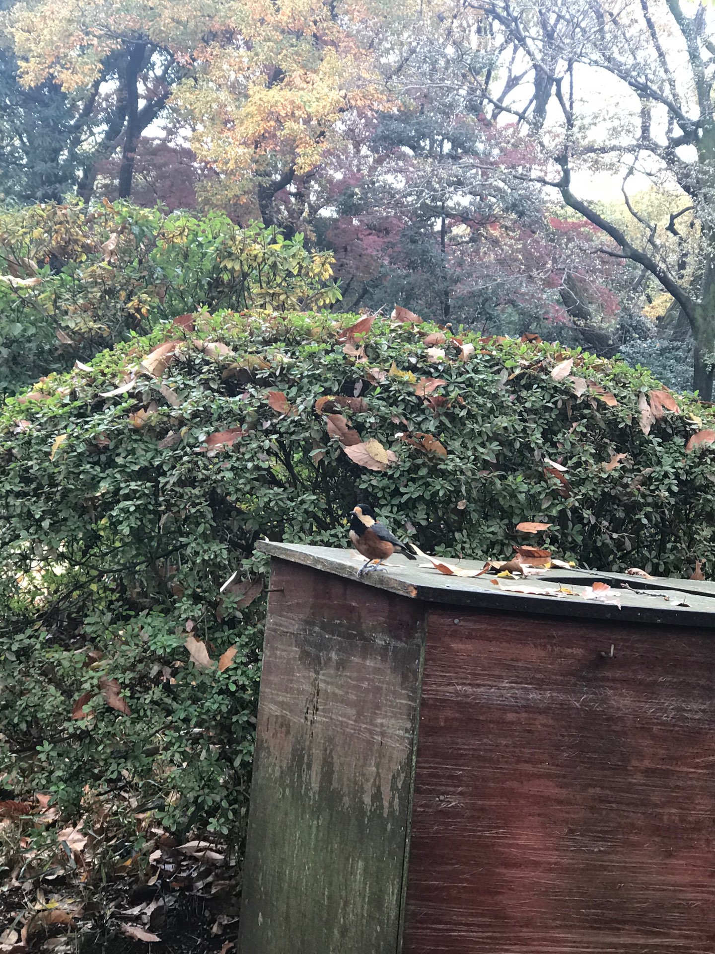 ＭＩＣＡさんのプロフィール画像