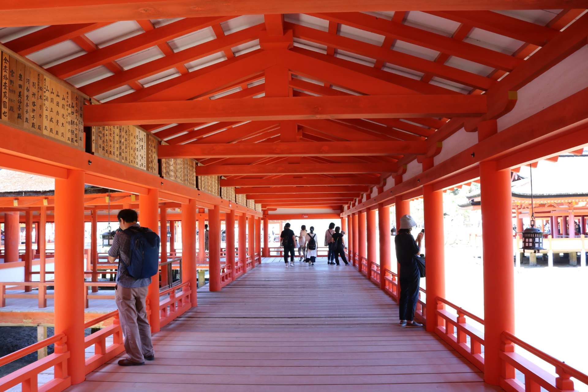 猫娘さんのプロフィール画像