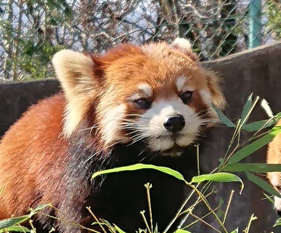 jacky10さんのプロフィール画像