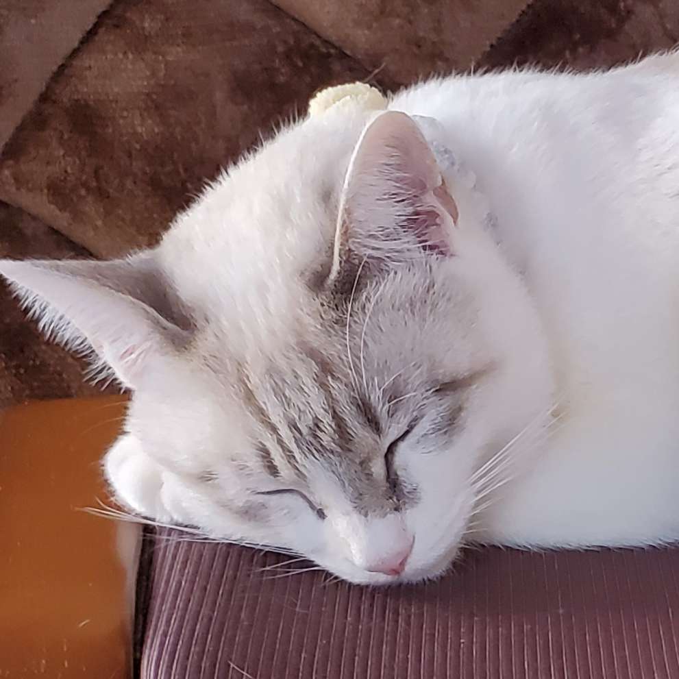 ゆきさんのプロフィール画像