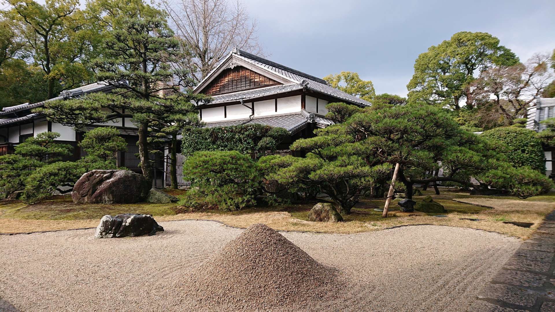 ワカマティーさんのプロフィール画像