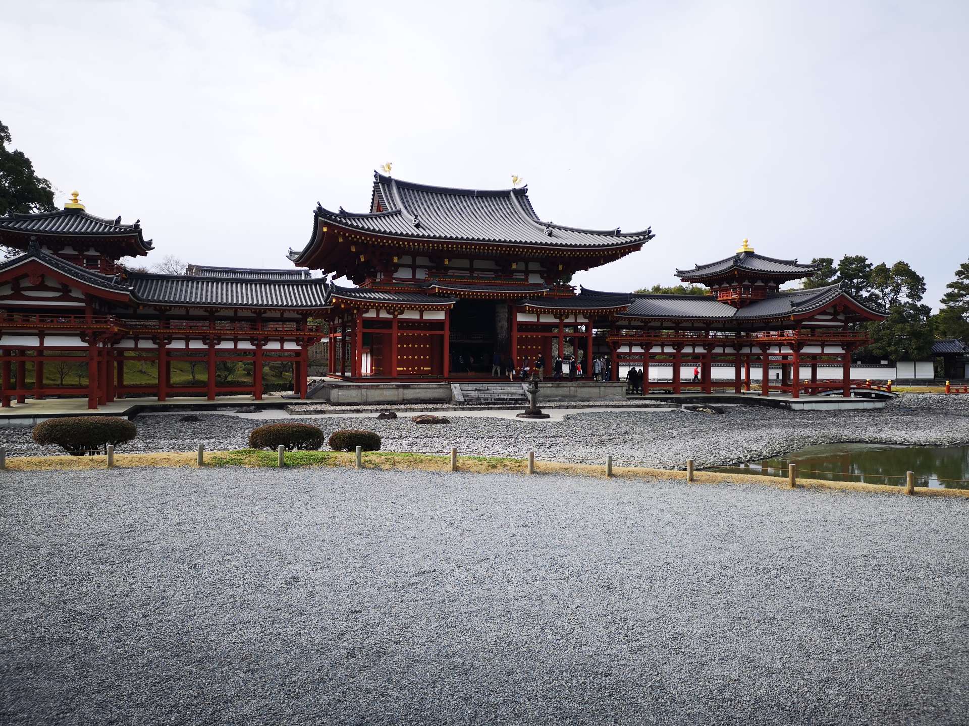 チヨマロさんのプロフィール画像